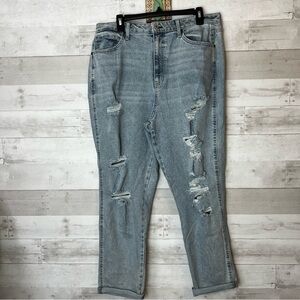 NWOT Arizone Highwaisted Distressed Jeans